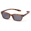 Readers.com Reading Sunglasses: The Cabo Hanging Reading Sunglasses Plastic Retro