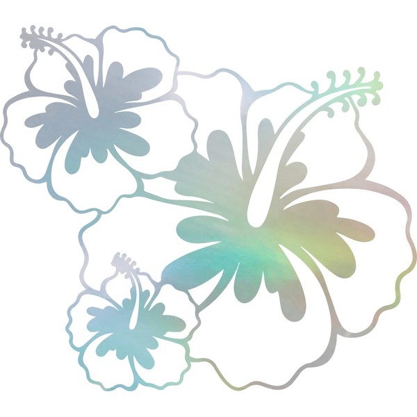 NBFU Hawaiian Hibiscus Flower 3 (Hologram) (Set of 2) Premium