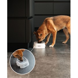 lionto Hundenapf aus lebensmittelechtem Kunststoff, 1 Liter, 22,5x22,5x8 cm, auslaufsicherer Anti Schlabber Wassernapf mit Rutschfester Unterseite für Katzen, Anti Schling Napf, spülmaschinenfest