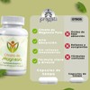 Fort Core - Akkermansia + Polifenoles - Suplemento Alimenticio -