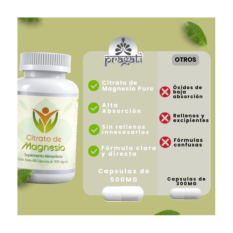 Fort Core - Akkermansia + Polifenoles - Suplemento Alimenticio -