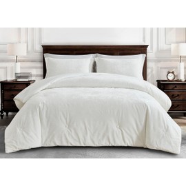 Chezmoi Collection Lux 3-Piece Cream White Velvet Comforter Set Queen Size, All Season Lush Plush Velvet Bedding Set with Soft Washed Microfiber Reverse