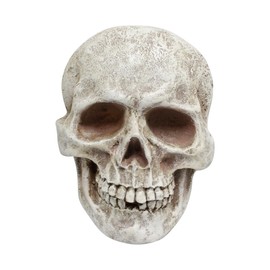 Resin Skull Wall Decor, Realistic Human Skull Wall Hanging Ornament, Gothic Halloween Decorations for Home Indoor Outdoor, Horror Haunted House Party Garden Tree Yard Wall Art, Spooky Resin Sculpture