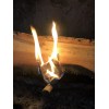 Unbranded Upcycled Dryer Lint Firestarters Pack Of 12 For Camping/Chimin