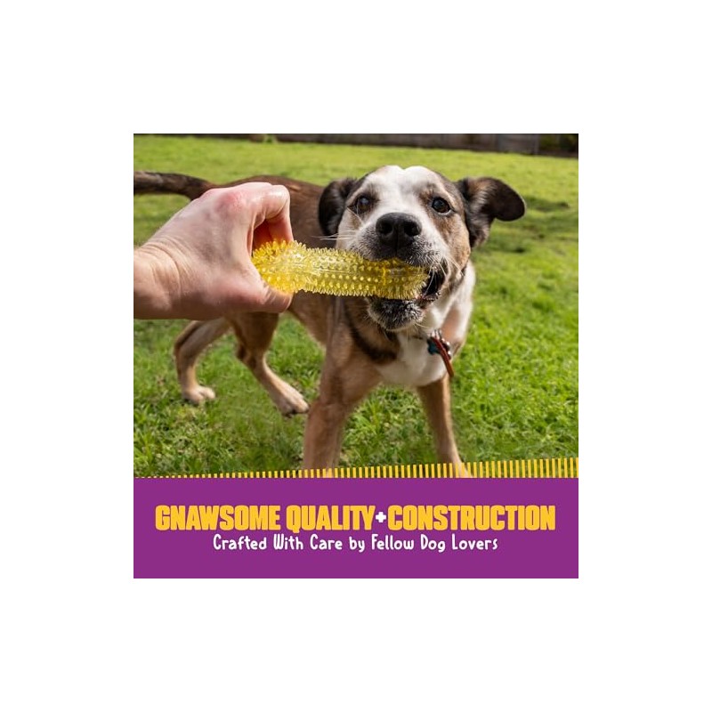 Gnawsome Medium Squeaker Bone for Dogs