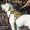 OneTigris Arnés táctico para Perro con asa, arnés Militar para