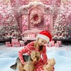 Mocsicka 7x5ft Pink Christmas Backdrop for Photography Pink Christmas Trees