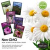 Survival Garden Seeds Perennial Flowers Collection - Shasta Daisy, Echinacea,