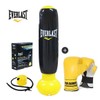Everlast Mini Punching Bag Set Boxing Sandbag for Toddlers and Children / 미니 펀치백 세트 복싱 유아 어린이 샌드백