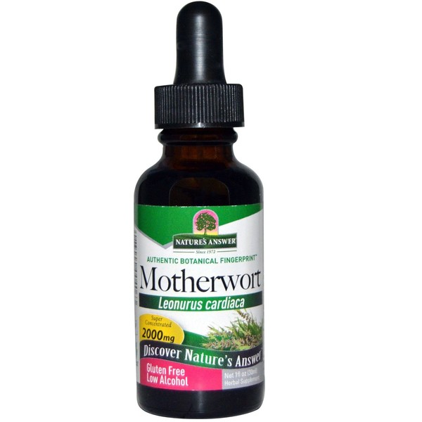 Nature's Answer - Motherwort Extract 1 oz