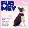 FUAMEY Dog Surgery Suit Female Spay,Dogs Recovery Suit Male,Puppy Bodysuit