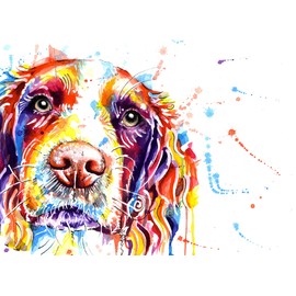 Springer Spaniel Cocker Print Painting Art Watercolour, Dog Artwork, Wall Art Gifts - [A4 Print Only - 8.25 x 11.75"]
