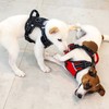 Puwihoe No Pull Dog Harness, Reflective Walking Dog Harness with