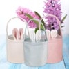 Pack of 3 Children's Easter Baskets with Handle, Easter Baskets