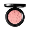 MAC Skinfinish Colorstruck Blush 4.5g / 맥 스킨피니쉬 컬러스트럭 블러쉬 4.5g