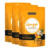 Bali's Best Ginger Chews, Tropical Mango Flavor, 5.08 Oz (Pack