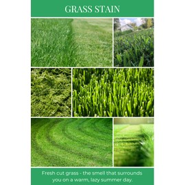 Eco Candle Co. Recycled Candle, Grass Stain, 6 oz. - Scents of Fresh Cut Grass - 100% Soy Wax, No Lead, Kraft Paper Label & Lid, Hand Poured, Phthalate Free, Midwest Grown Soybeans