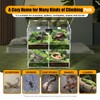 Acrylic Reptile Terrarium, 4 Grids Transparent Reptile Feeding Box with