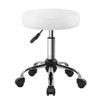 BFTOU White Classic Swivel Stool with Wheel for Salon Work