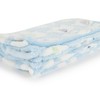 Bieco Cuddly Blanket Various Designs Approx. 90 x 75 cm