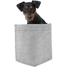 German Pinscher Dog in Pocket Car Bumper Magnet, Magnetic for Refrigerator, Decorative Fridge, Office, Whiteboard, Kitchen, Locker Waterproof Decor, Family & Friends, 4x7 in