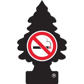 Little Trees Car Air Freshener 6-Pack (NO Smoking)