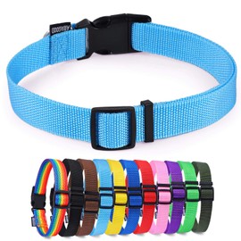 AMAGOOD Pet Essentials 40+ Colors and Size Classic Nylon Adjustable Dog/Cat Collars, for Puppy Small Medium Large Dogs and Cats(Small,SkyBlue)