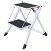 Buffalo Tools MSL2BX Mini Step Ladder 2 Step - Box,