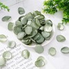 Whaline 600Pcs Silk Rose Petals Sage Green Flower Petals Artificial