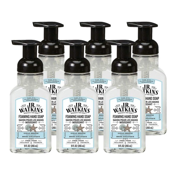 J.R. Watkins Foaming Hand Soap For Bathroom or Kitchen, Scented, USA Made And Cruelty Free, 9 Fl Oz, Ocean Breeze, 6 Pack