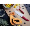 Kyocera Advanced Ceramic Revolution Series 4.5-inch Utility Knife, Red Handle,