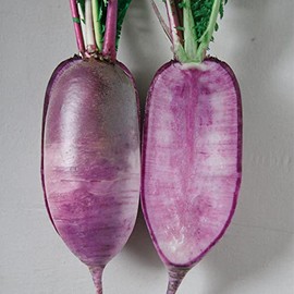 Radish Seeds - Korean - Bora King - Hybrid - 1 Oz ~3000 Seeds - Non-GMO, F1 Hybrid - Asian Garden Vegetable