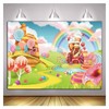 Qian Lollipop Backdrops Cartoon Candy Photo Rainbow Studio Props Booth