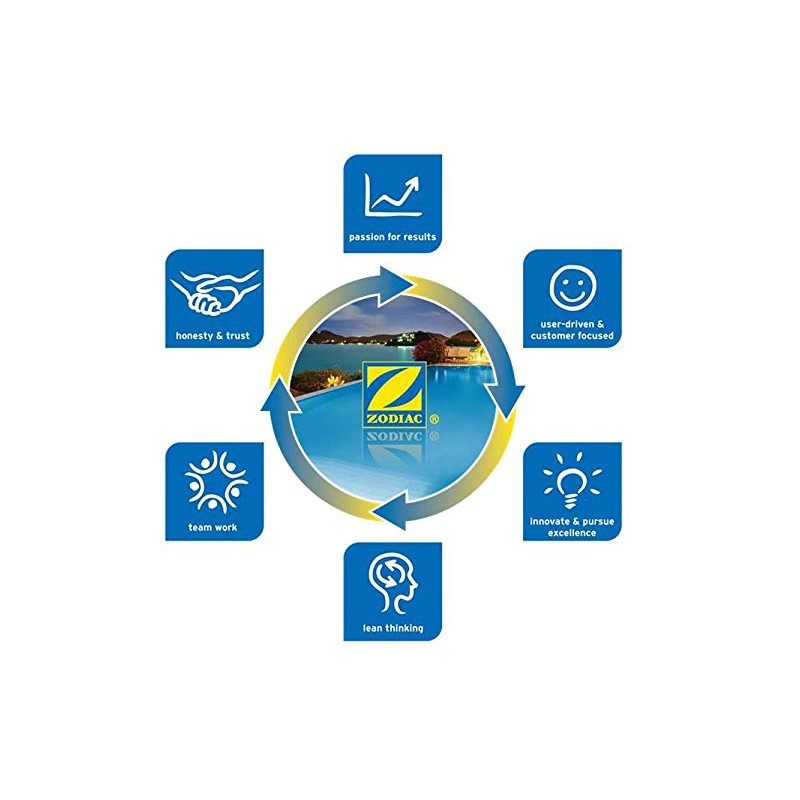 Jandy Laars Lite2 LJ Pool Heater Pro Series Replacement Igniter