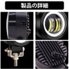 Biqing Motorcycle Fog Light, Cut Line, 2 Colors, White and