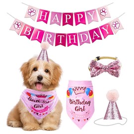PetGround Birthday Set, Hat, Bandana, Bowtie, Decoration, 4-piece Set, Birthday Dog Toy (Pink)