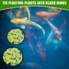 Shrimp Breeding Protector, with 5pcs Floating Plant Ring Plastic Shrimp