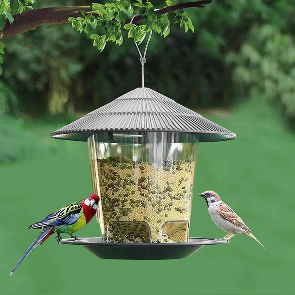 hanging bird feeder outdoor