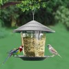 Hanging Bird Feeder Outdoor