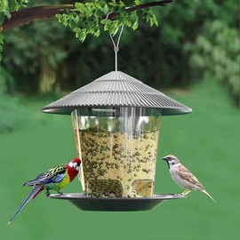Hanging Bird Feeder Outdoor