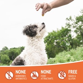 BAYPIE Freeze-Dried Chicken Liver Treats for Dogs - Single Ingredient, Grain Free, Raw Nutrition Dog Training Snacks - High Protein, Natural Flavor - 4oz