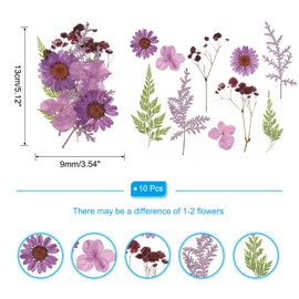PATIKIL Dried Pressed Flowers, Real Pressed Flowers Dry Leaves for Scrapbook Supplies Card Making Resin Jewelry Making Soap Candle DIY Crafts, Purple