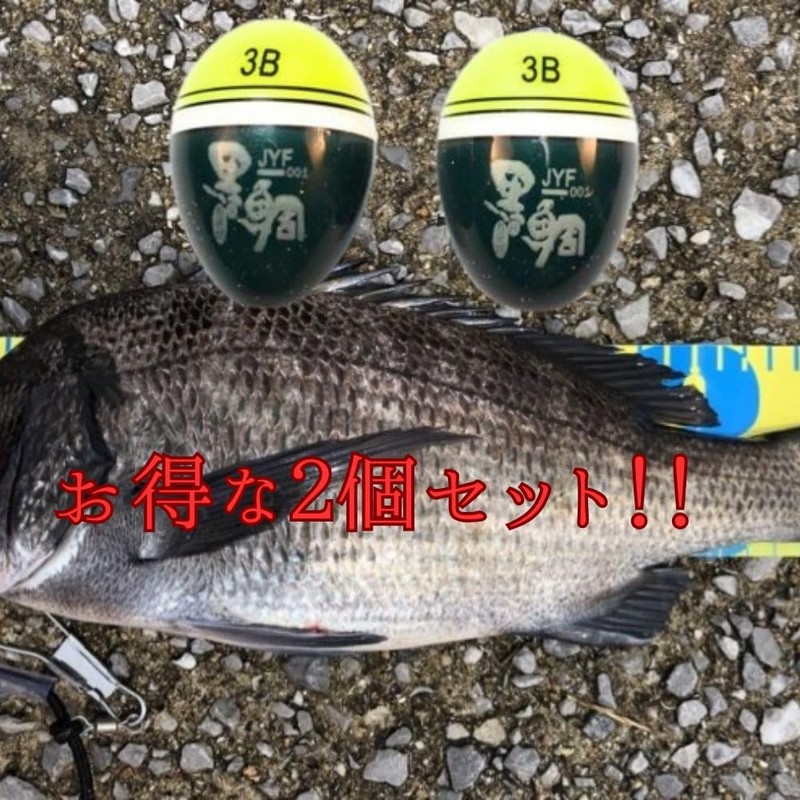 ASPALAND Cone Float Sea Bream, Chinu, Ukifukase, Fishing, 3B, Acorn,
