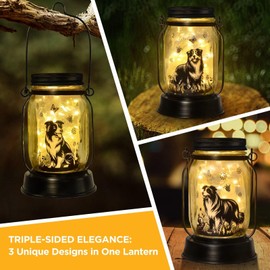 kyoryuger Border Collie Gifts for Women/Men, Collie Solar Lanterns Dog Mom Birthday, Dog Lovers Lantern, Pet Loss Pet Memorial Lights, Solar Garden Decoration Outside for Yard, Patio,Backyard,Porch