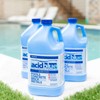 Champion Acid Blue Easy to Use Muriatic Acid for Removal