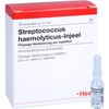 Streptococcus Haemolyticus Injeel Liquid Dilution Pack of 10 Ampoules