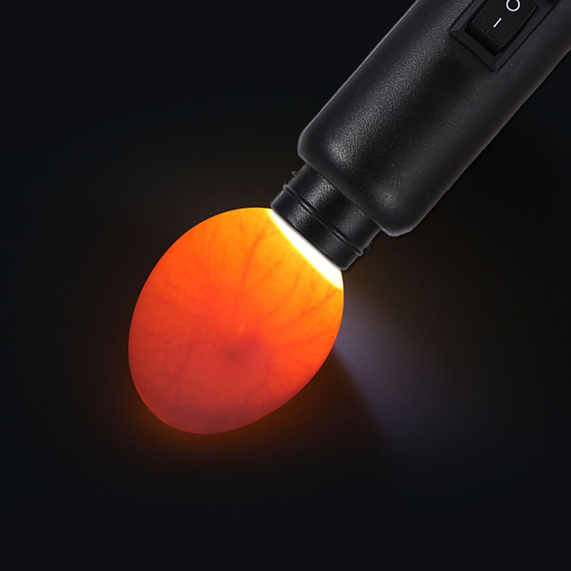 HighCool Led Light Dual Power Egg Candler Tester Mains or