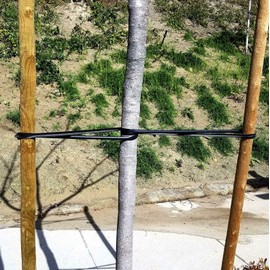 One Stop Outdoor USA Made - Universal Tree Ties 32" - Professional Gardener Style Self Locking Straps Includes Nail (20)