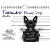 Tierzauber Funny Dogs DIN A5 Kalender für 2026 Hunde Welpen