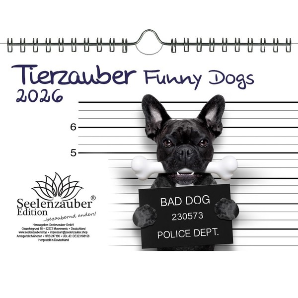 Tierzauber Funny Dogs DIN A5 Kalender für 2026 Hunde Welpen